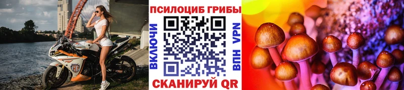Купить где  Красноуфимск  Псилоцибиновые грибы Psilocybine cubensis 